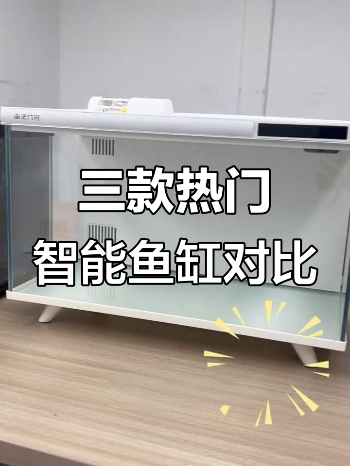小米、当贝与画法几何鱼缸深度对比,性价比谁更高?