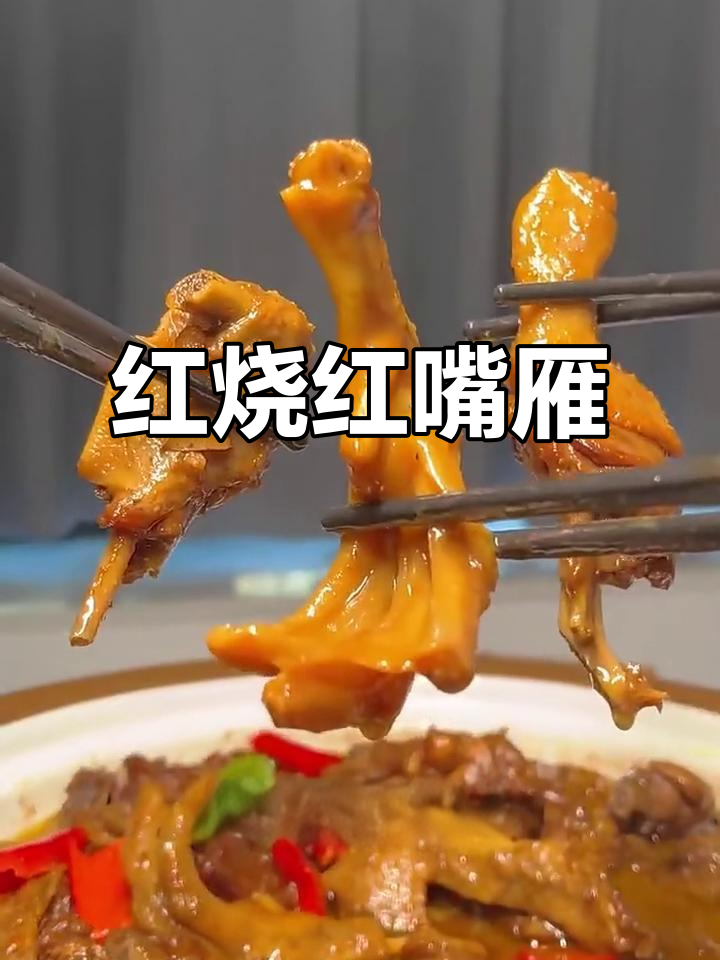 红嘴燕肉质鲜美,低脂高蛋白,红烧做法大揭秘