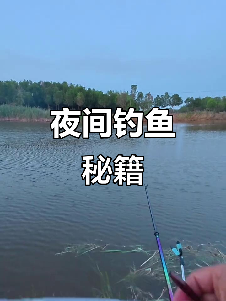 夜钓鲫鱼技巧:双钩拉饵,间距1.5厘米,水深1.5米最佳