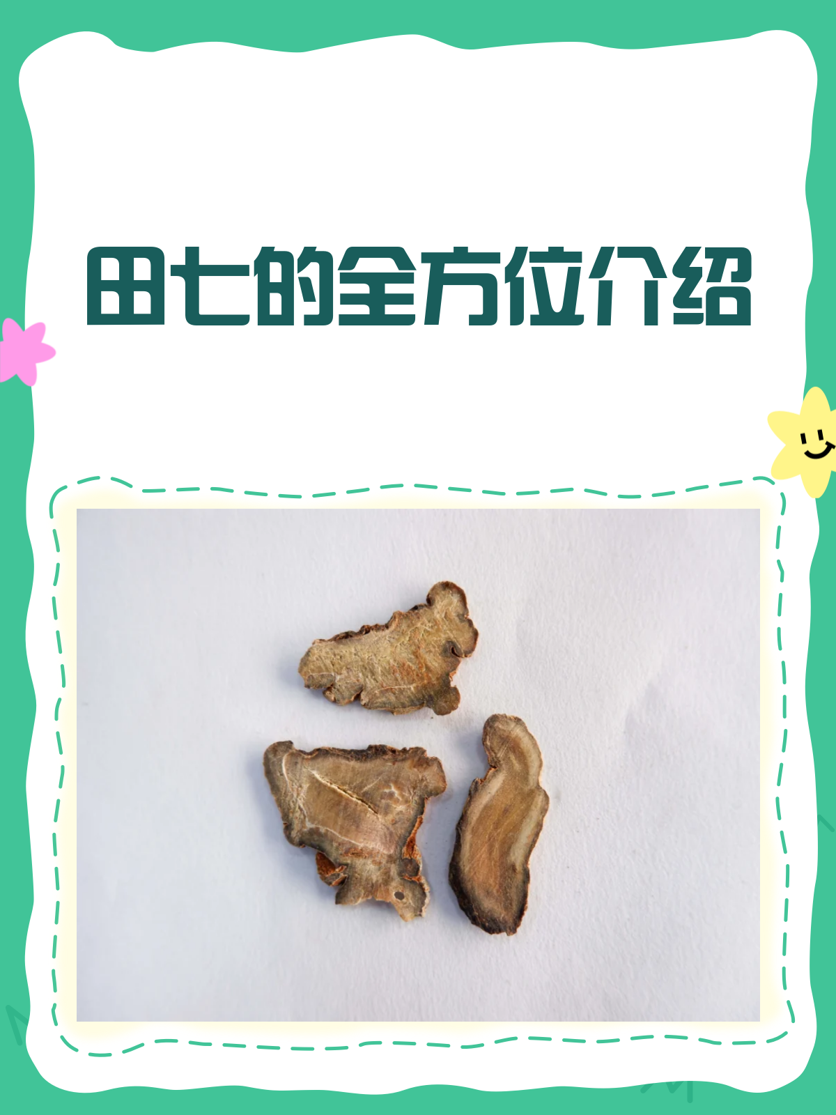 田七不只是菜,更是养生宝藏!
