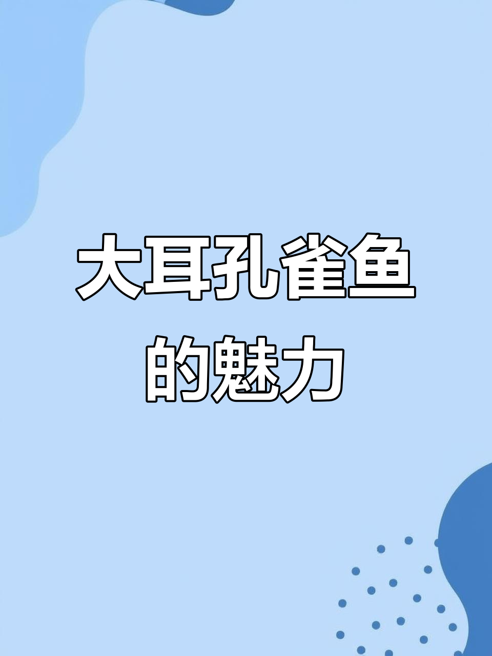 泰系大耳朵孔雀鱼,渔网也挡不住它的美丽