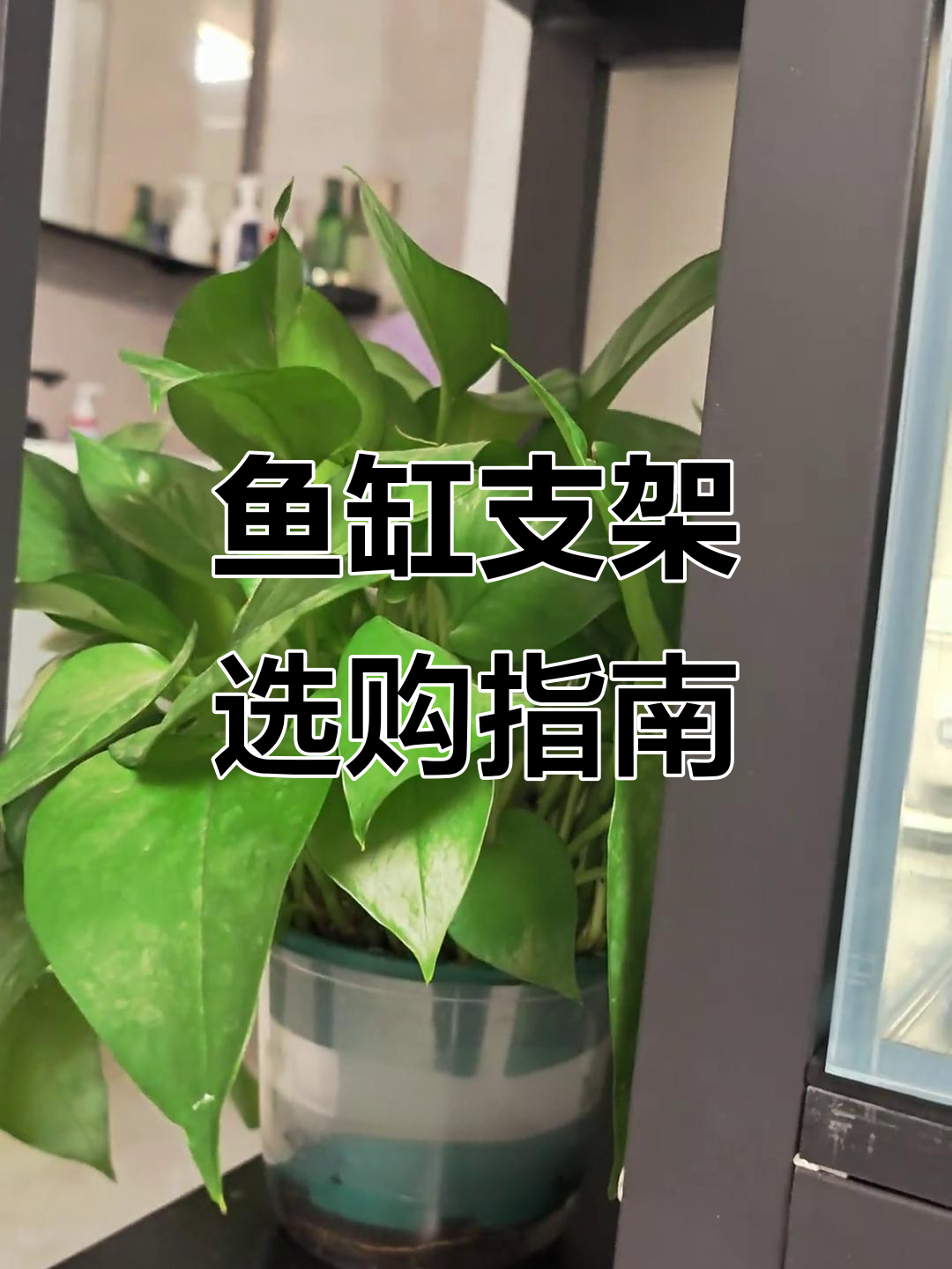 铁皮鱼缸架易变形,铝材或实木更稳固耐用!