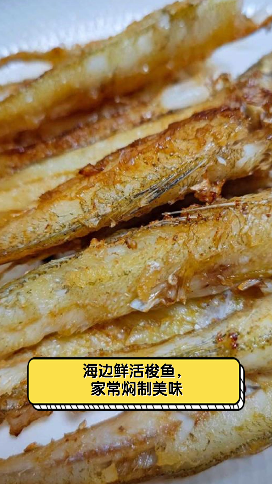 海边鲜活梭鱼,家常焖制美味