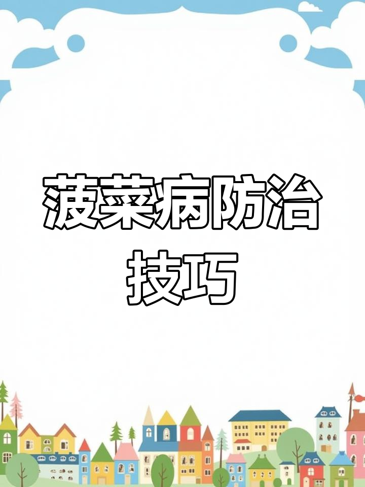 菠菜常见病害及防治方法