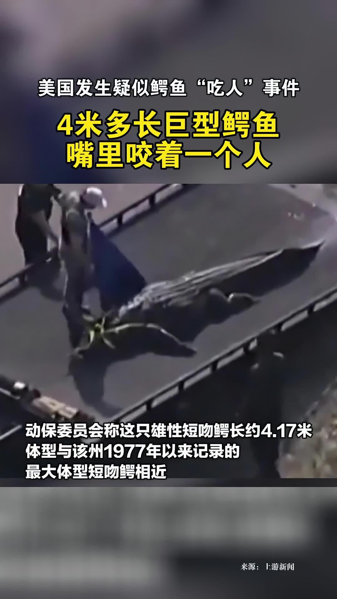 美国佛州发生疑似 鳄鱼吃人事件,4米多长巨型鳄鱼嘴里咬着一个人