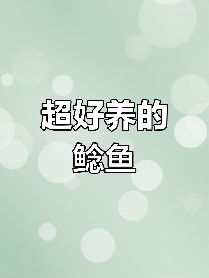 鲶鱼轻松养,水质无要求,比猪还省心!