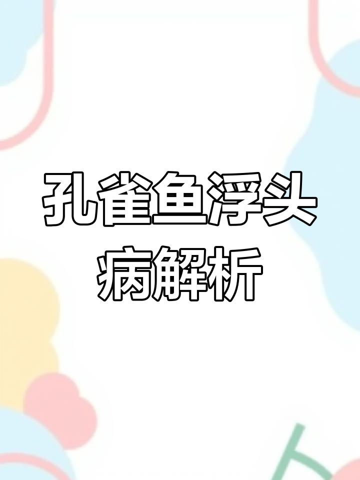 孔雀鱼头朝上尾下垂?可能是这些原因!