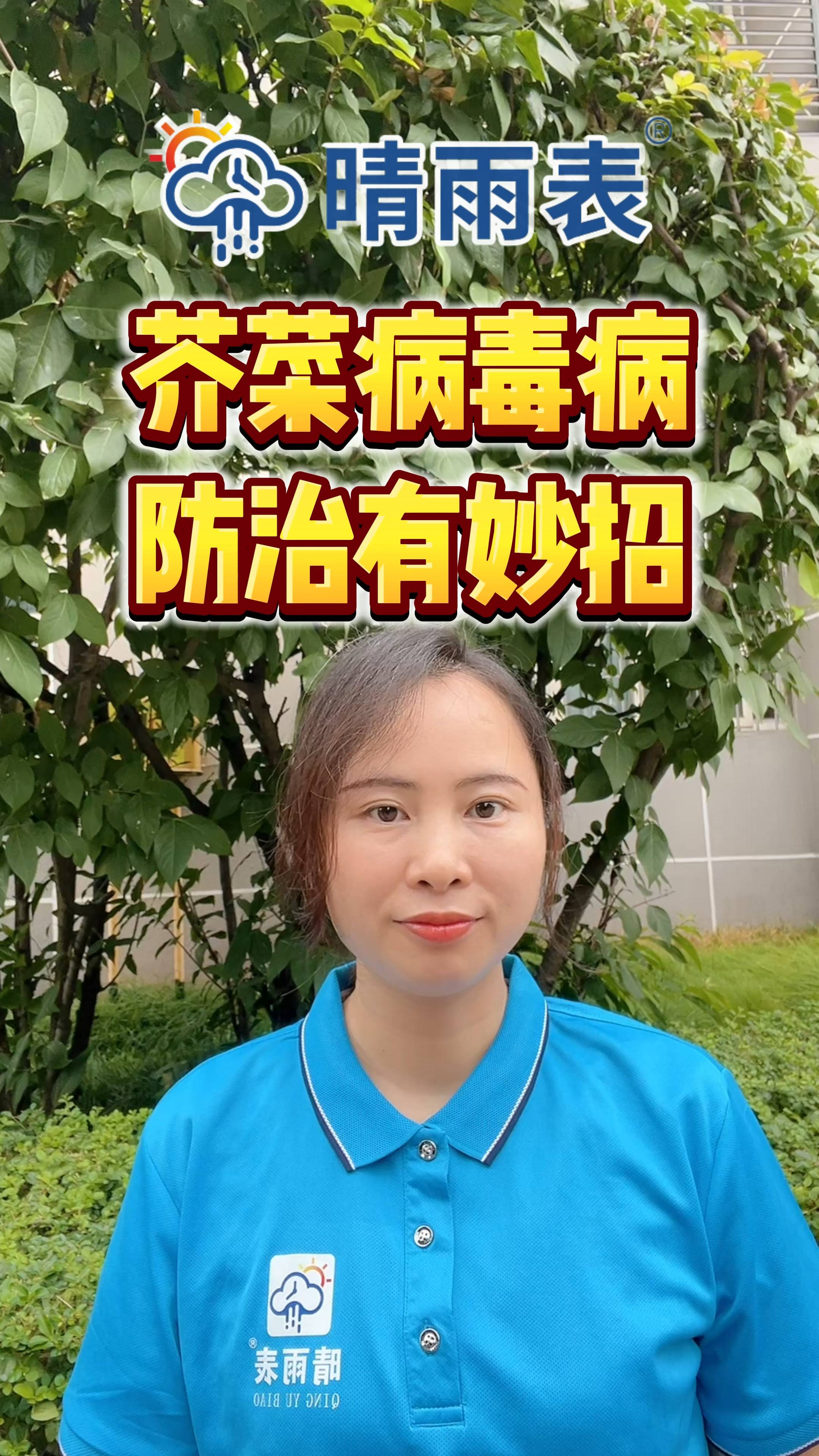 芥菜病毒病防治有妙招
