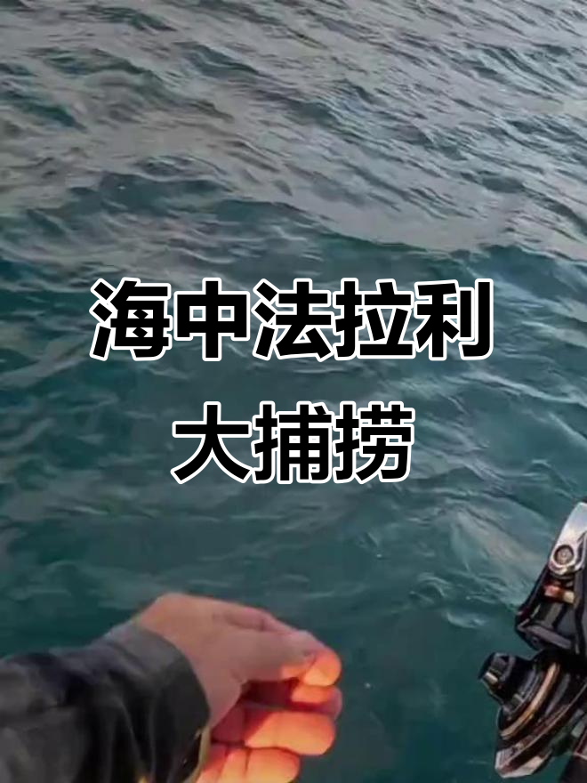 国外钓鱼达人钓获海中法拉利,牛港鲹震撼登场