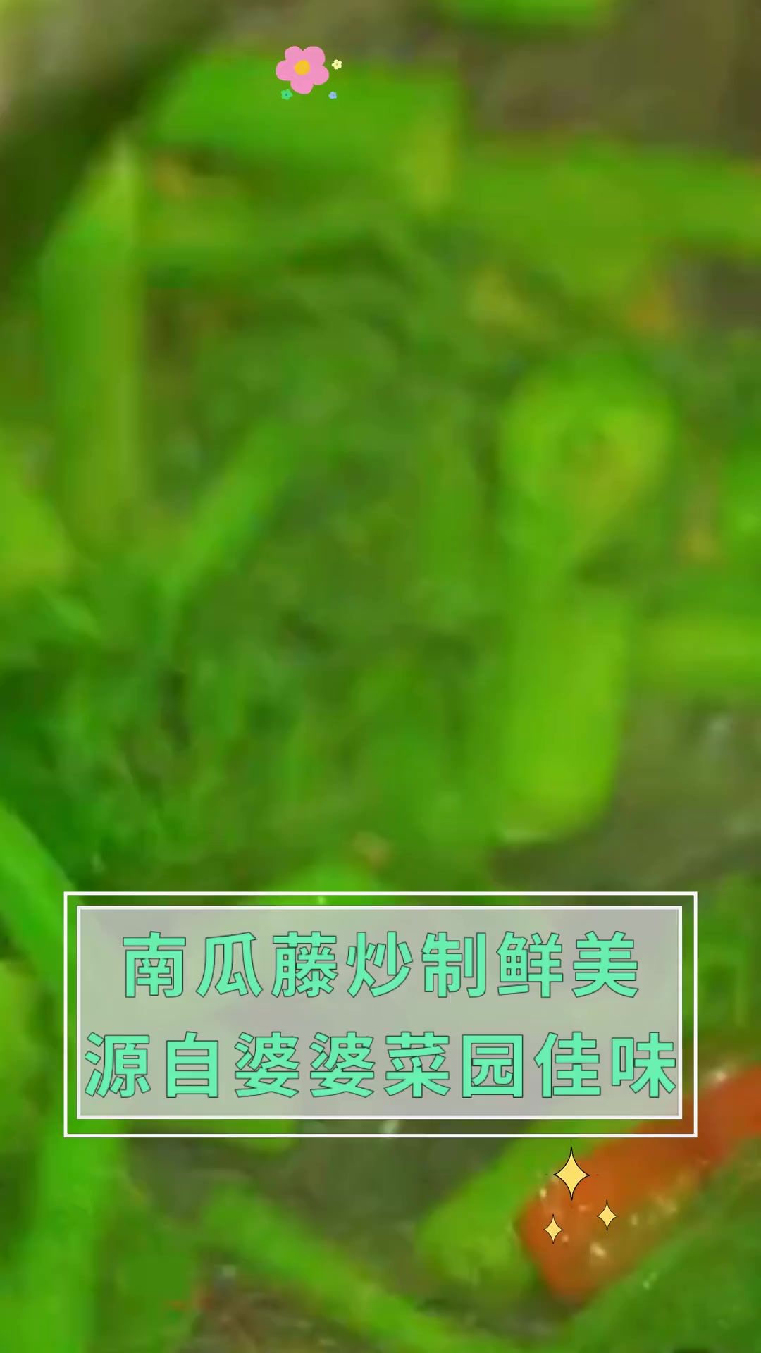 南瓜藤炒制鲜美源自婆婆菜园佳味