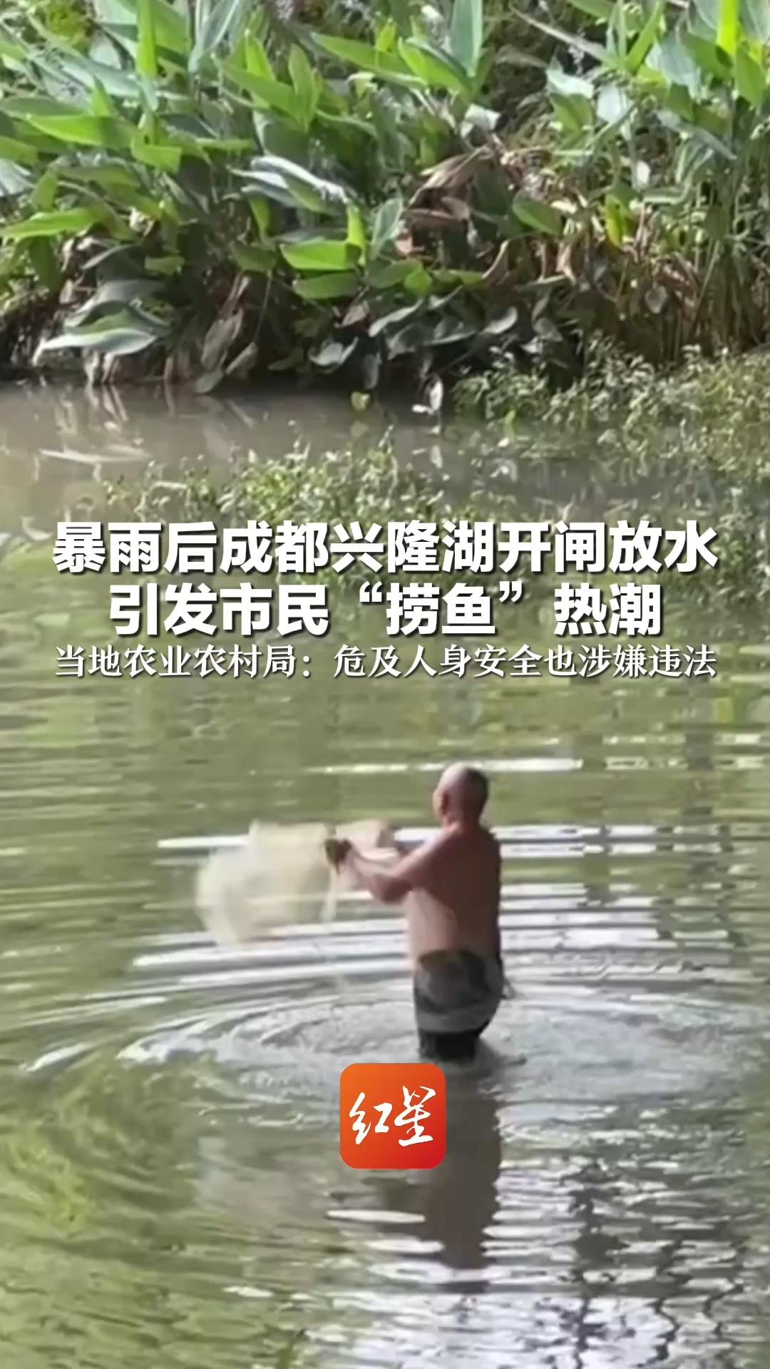 暴雨后成都兴隆湖开闸放水 引发市民“捞鱼”热潮 当地农业农村局：危及人身安全也涉嫌违法