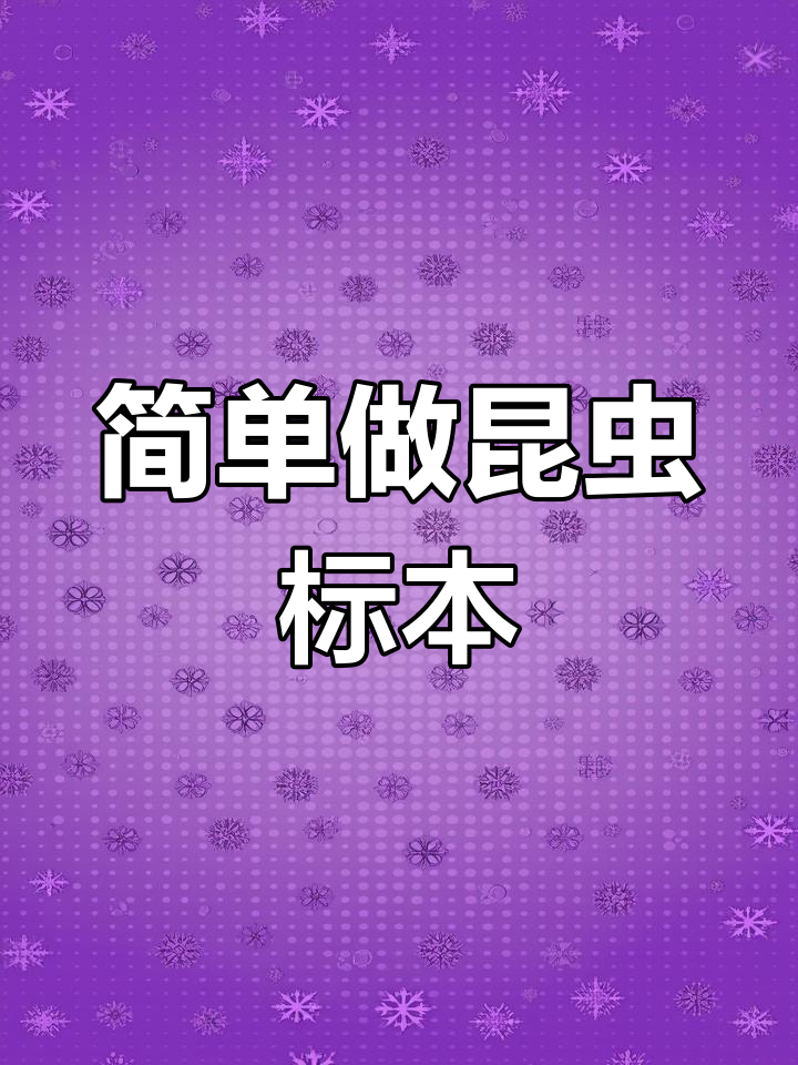 昆虫标本制作全流程