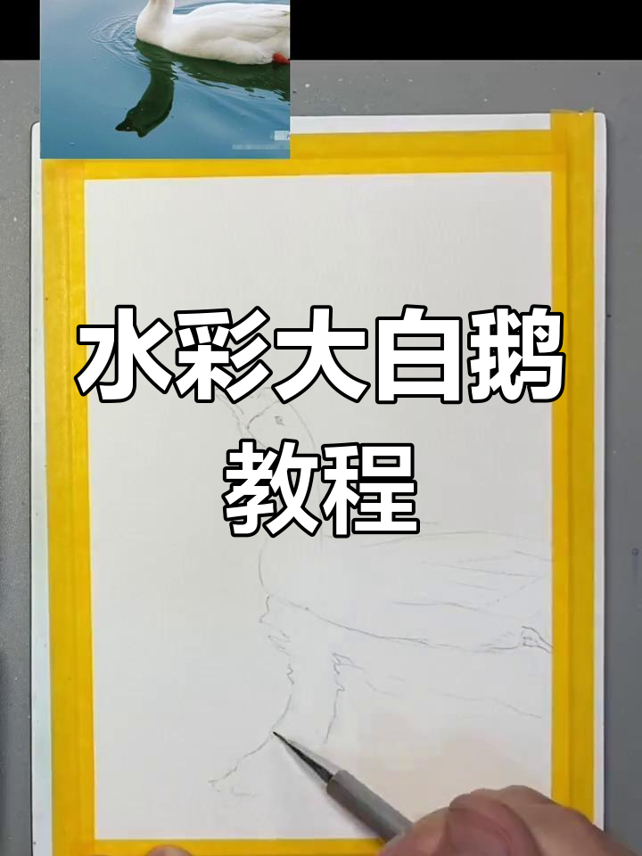 简单水彩大白鹅，零基础也能轻松画出可爱效果