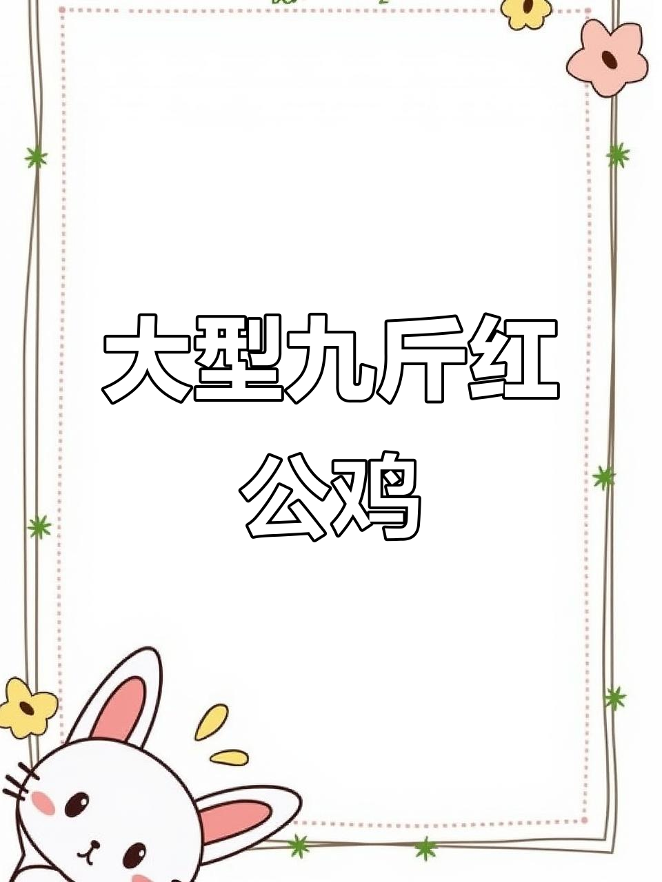 九斤红公鸡苗,生长迅速体型大