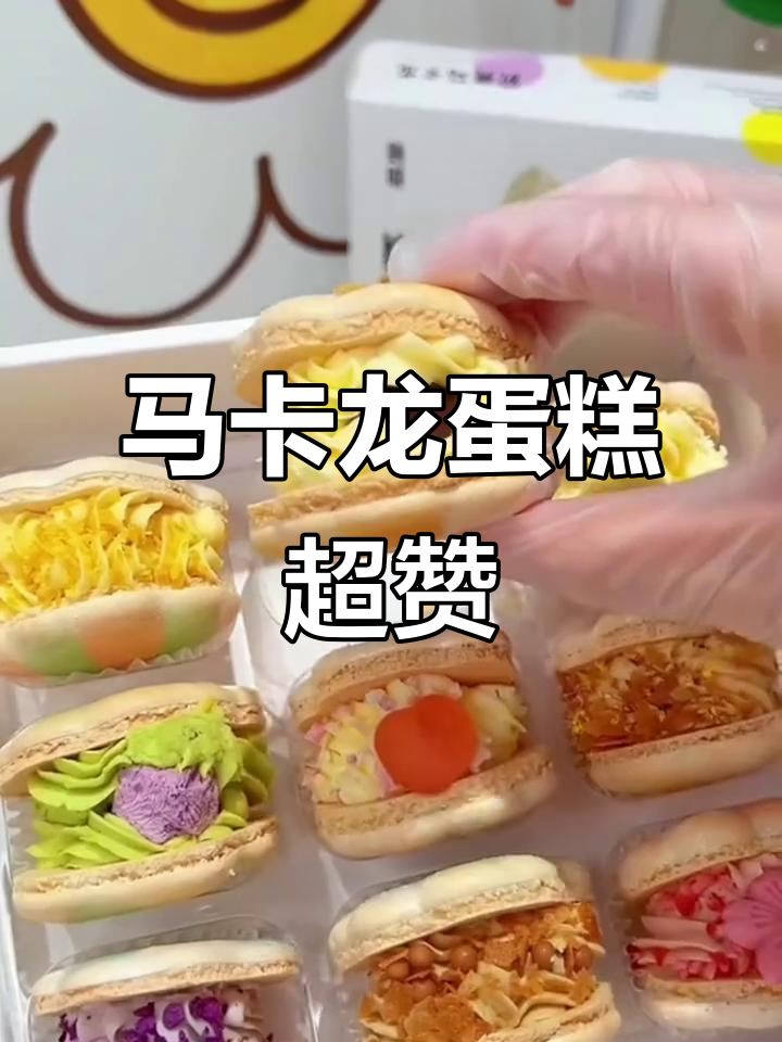 这款马卡龙蛋糕太好吃，动物奶油和生巧完美结合
