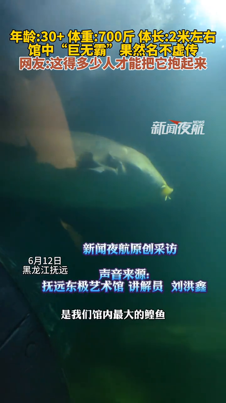 “巨无霸”鳇鱼果然名不虚传,网友:这得多少人才能把它抱起来