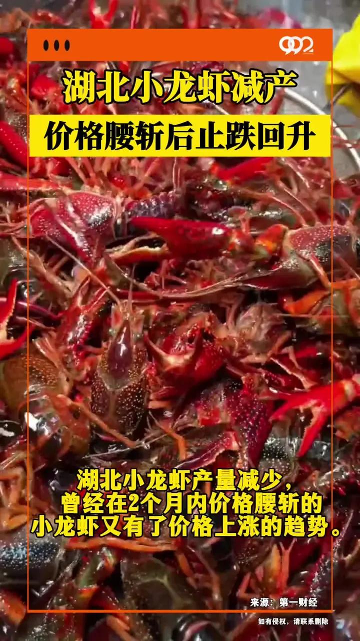湖北小龙虾减产,价格腰斩后止跌回升