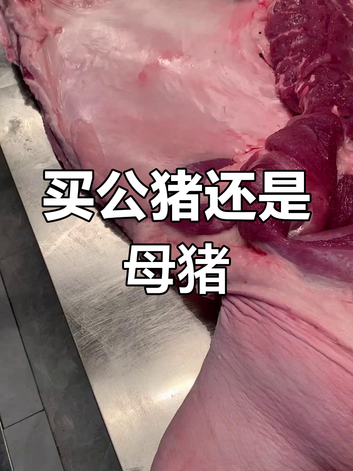 公猪肉和母猪肉到底有啥不同?看完你就懂了