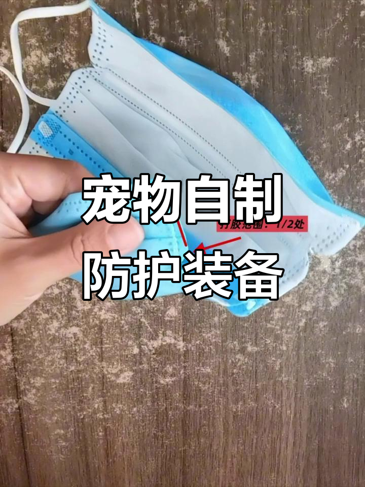 自制宠物口罩与纸尿裤，超简单教程！