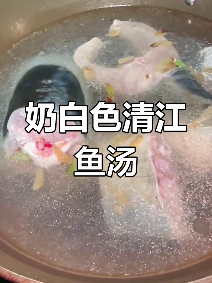 清江鱼奶白汤,凉水下锅煮出浓香