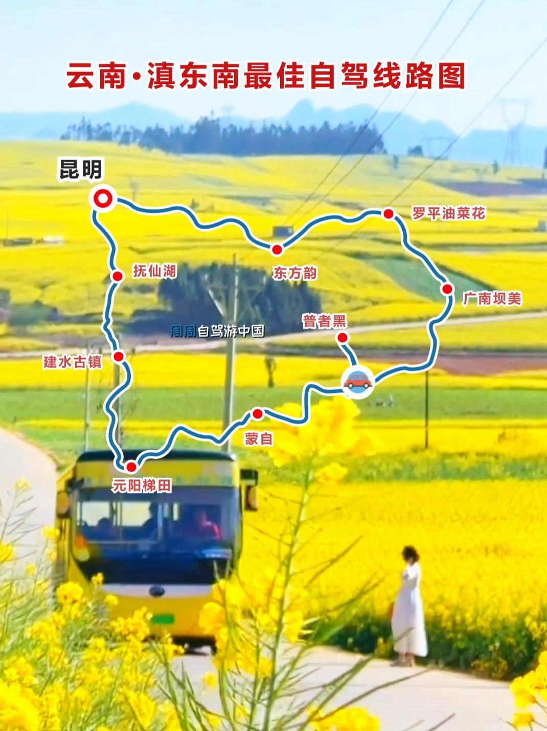 滇东南赏花之旅,2、3月份最佳旅行地推进,云南旅游线路推荐 云南最美的罗平油菜花,2月底到