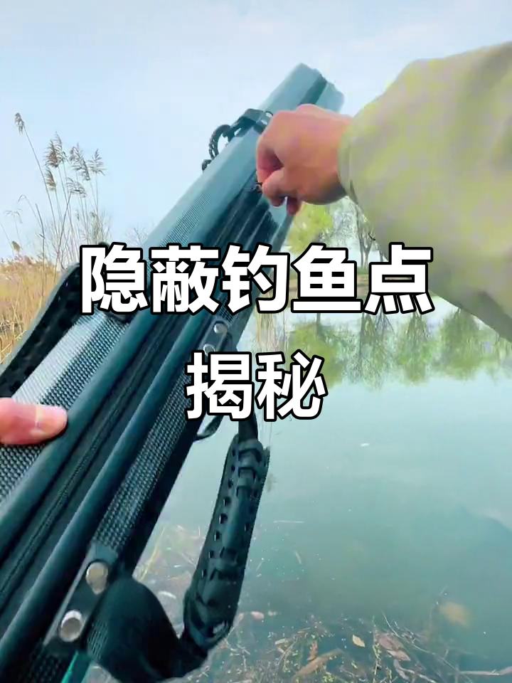 隐秘浅滩钓点，芦苇丛中寻鱼！