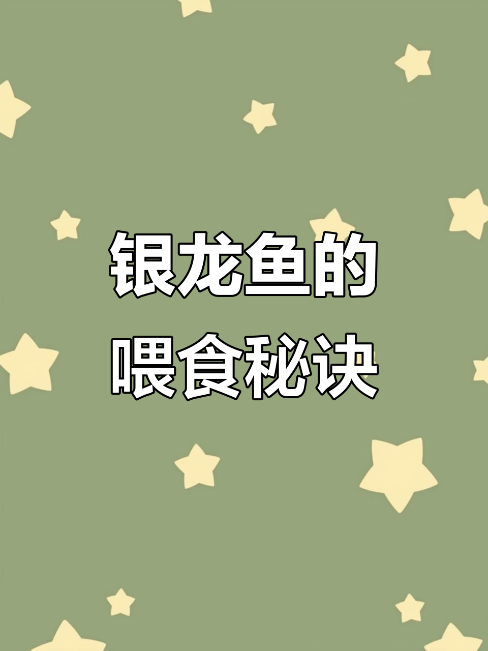 银龙鱼吃什么最健康?动物性饲料与合成饲料的搭配技巧