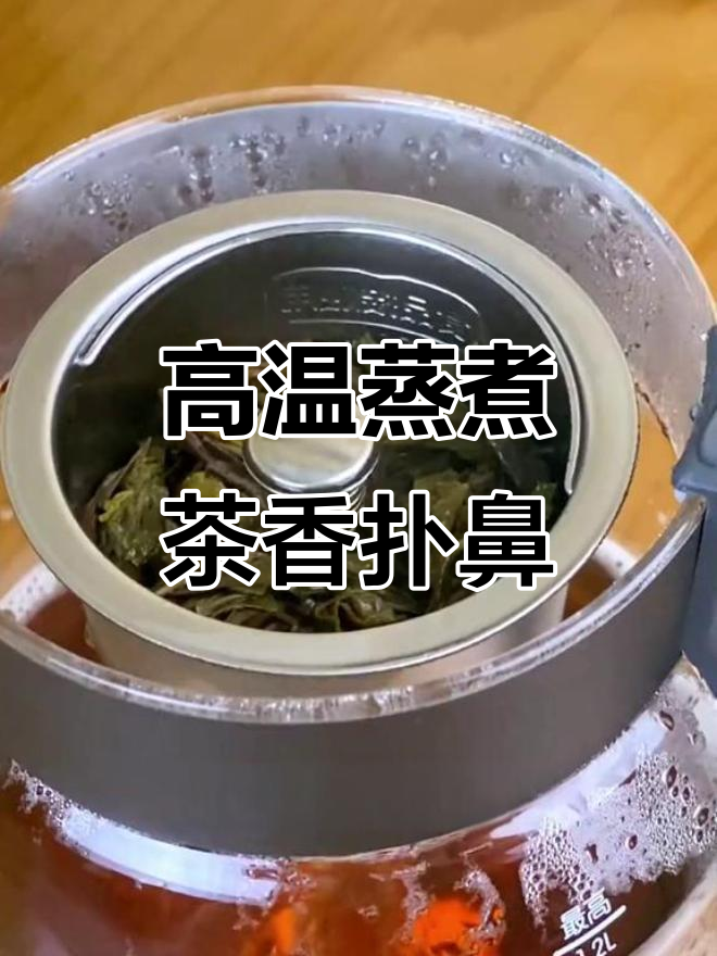 德国技术蒸汽煮茶壶，轻松享受清香甘醇的茶汤