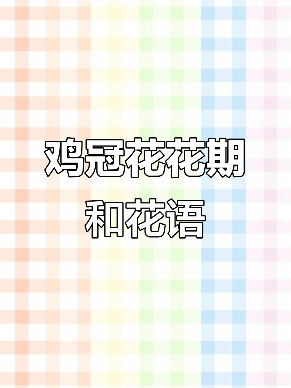 鸡冠花花期与花语揭秘,你了解吗?