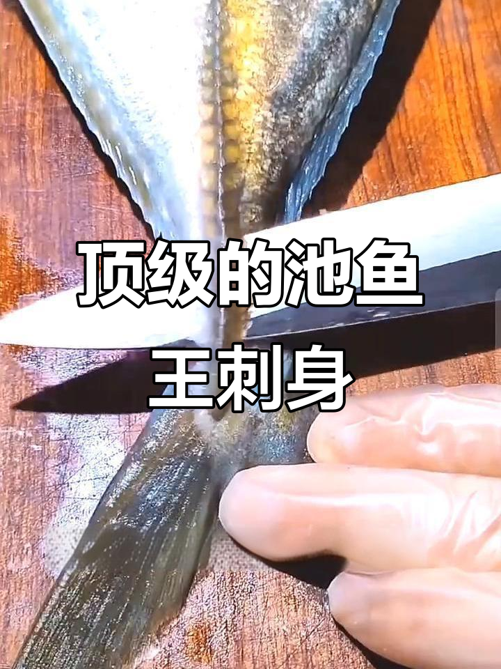 池鱼王刺身:顶级美味,稀有珍贵