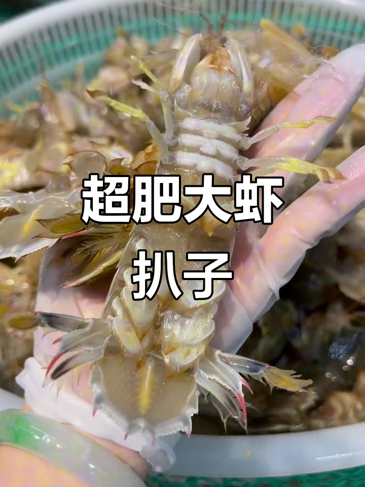 超大虾爬子,肥美鲜嫩,四月份正是吃大虾的最佳时机