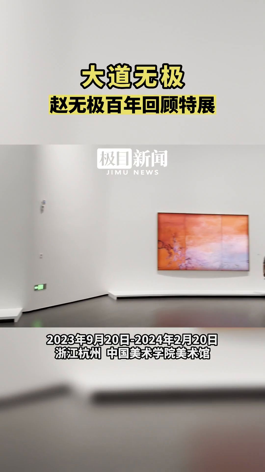 「视频」作品拍出2.4亿天价的赵无极,他的画作正在展出