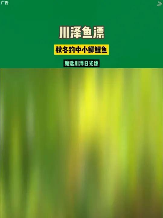 秋冬钓中小鲫鲤鱼,就选川泽日光漂,全水域通杀,高灵敏给口反应迅速,多水域适用川泽浮漂秋冬钓