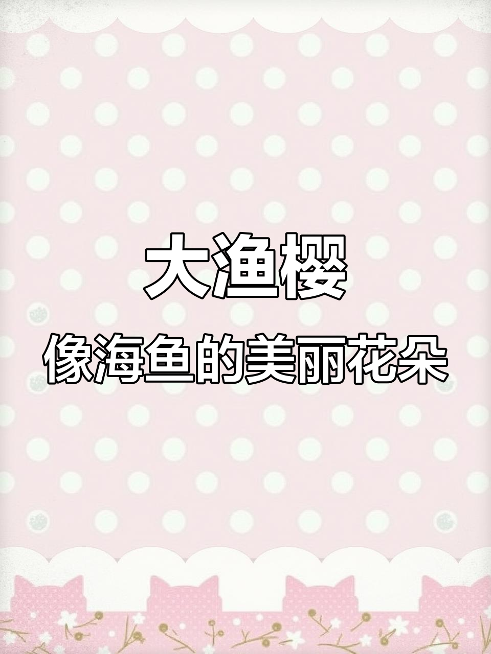 海洋鲷鱼色樱花,高大树形惊艳倒影