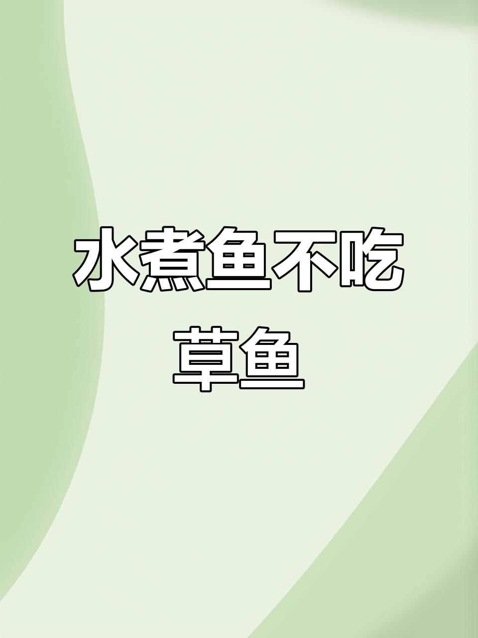 吃水煮鱼别选草鱼,黑鱼肉质更紧实无刺