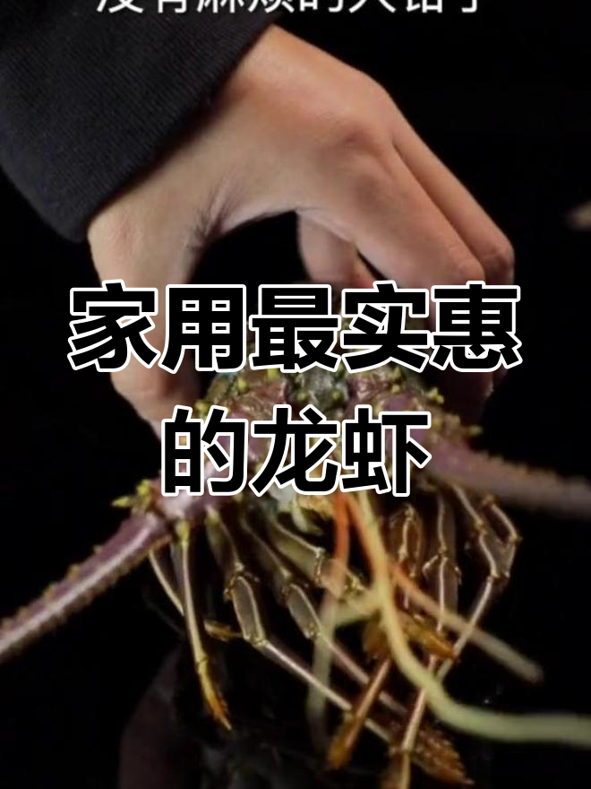 龙虾品种大揭秘:哪种最适合家庭消费?
