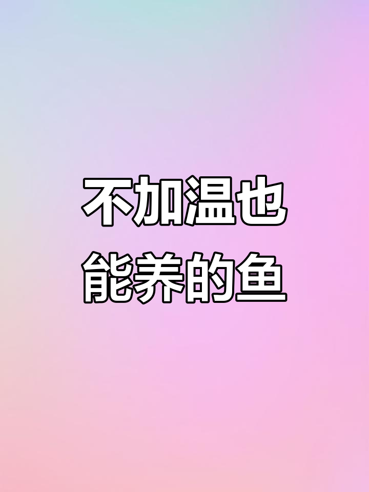 8种耐寒观赏鱼,新手不加热棒也能养