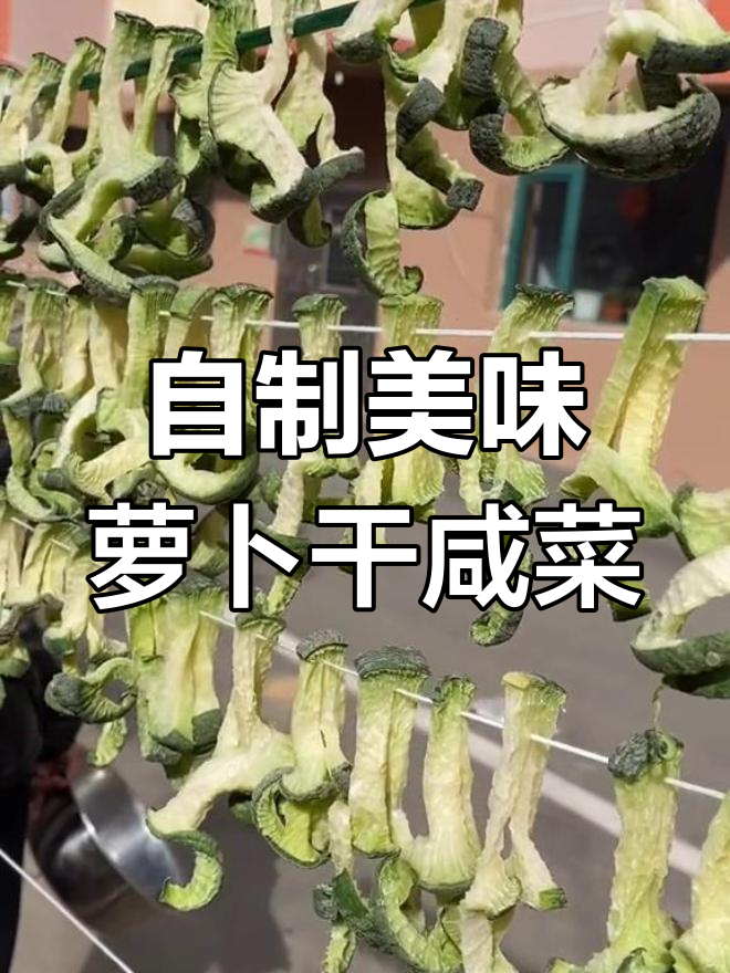 教你做正宗萝卜干咸菜,口感艮究,米饭配不停