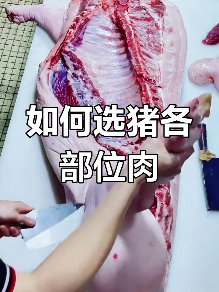 猪肉分割全攻略,教你挑选不同部位