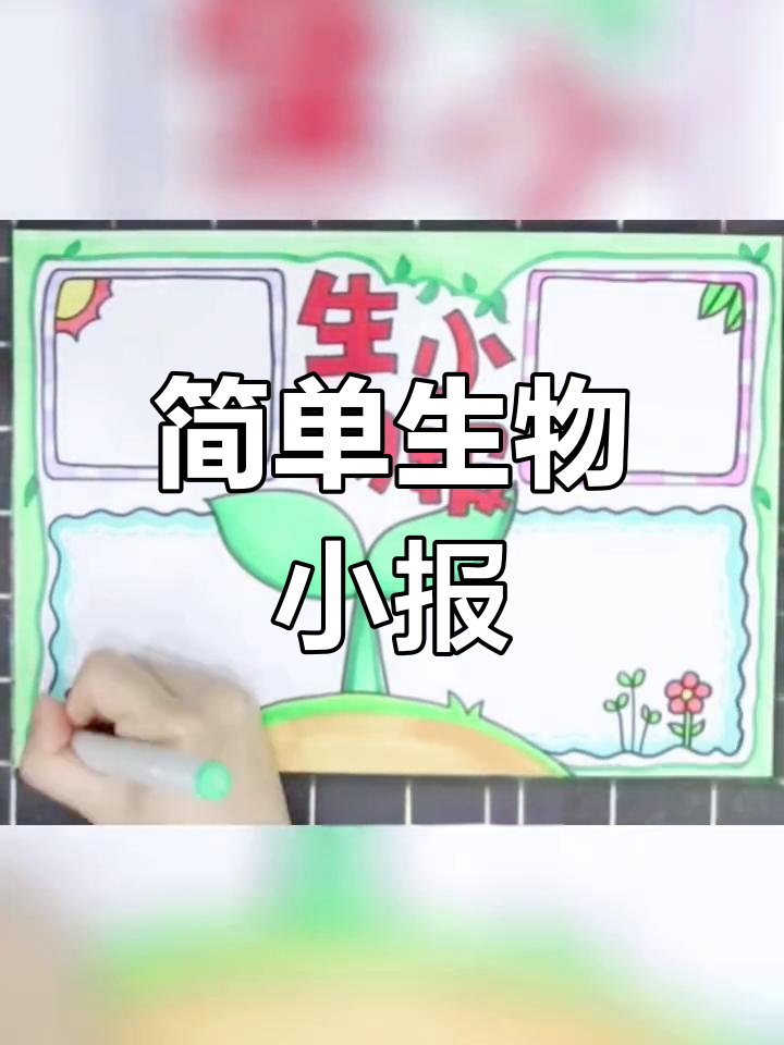 生物主题手抄报设计