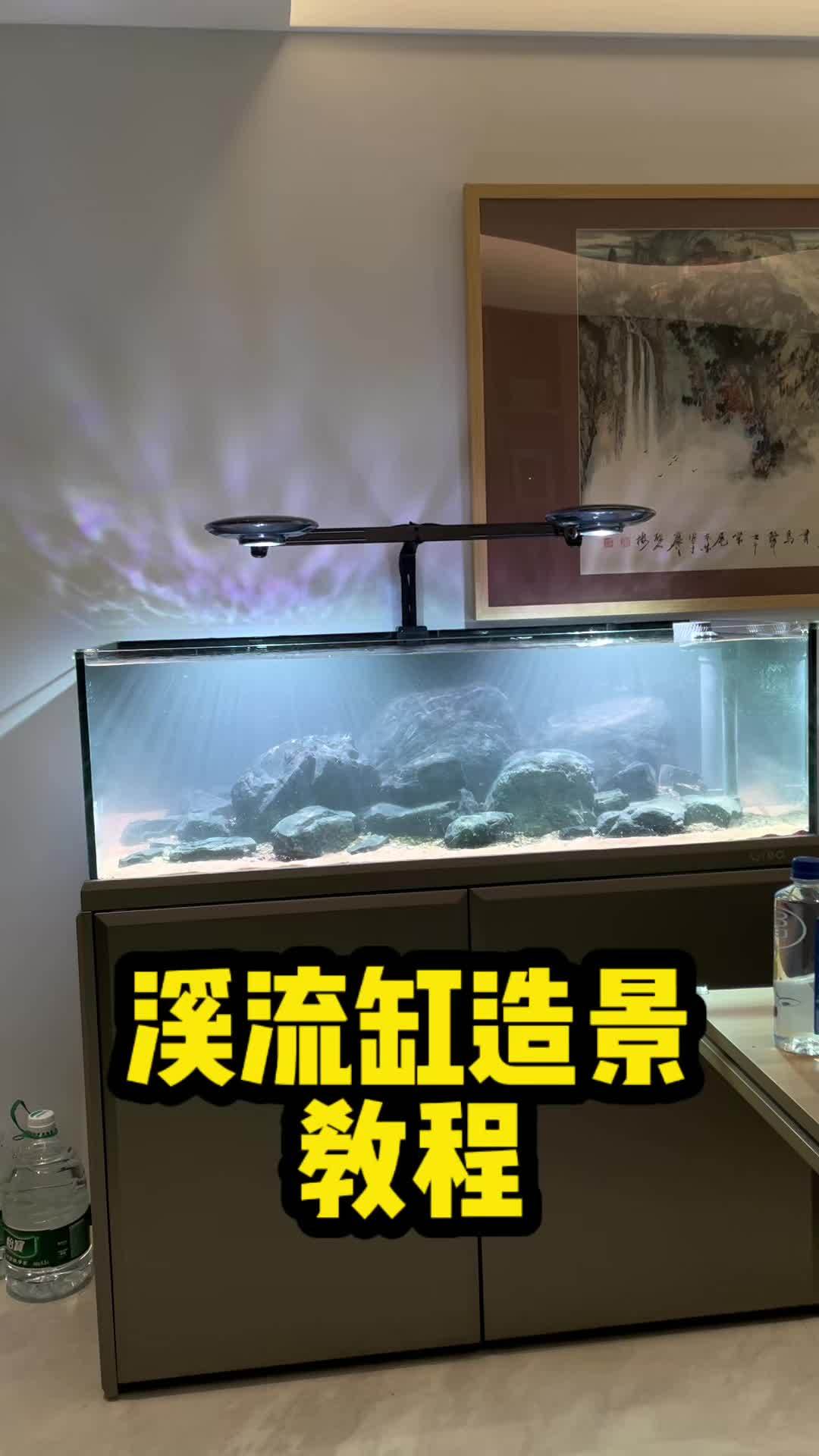 溪流缸造景教程~ 我总结了3点不知道对不对,你们觉得呢~ 溪流缸 原生 养鱼 造景鱼缸