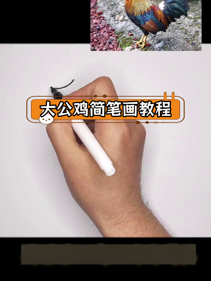 5分钟学会画大公鸡