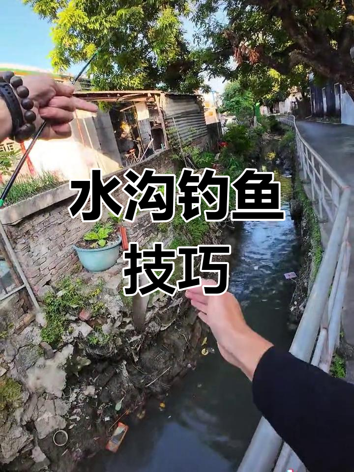 广东臭水沟钓雷龙,土豆软饵效果惊人