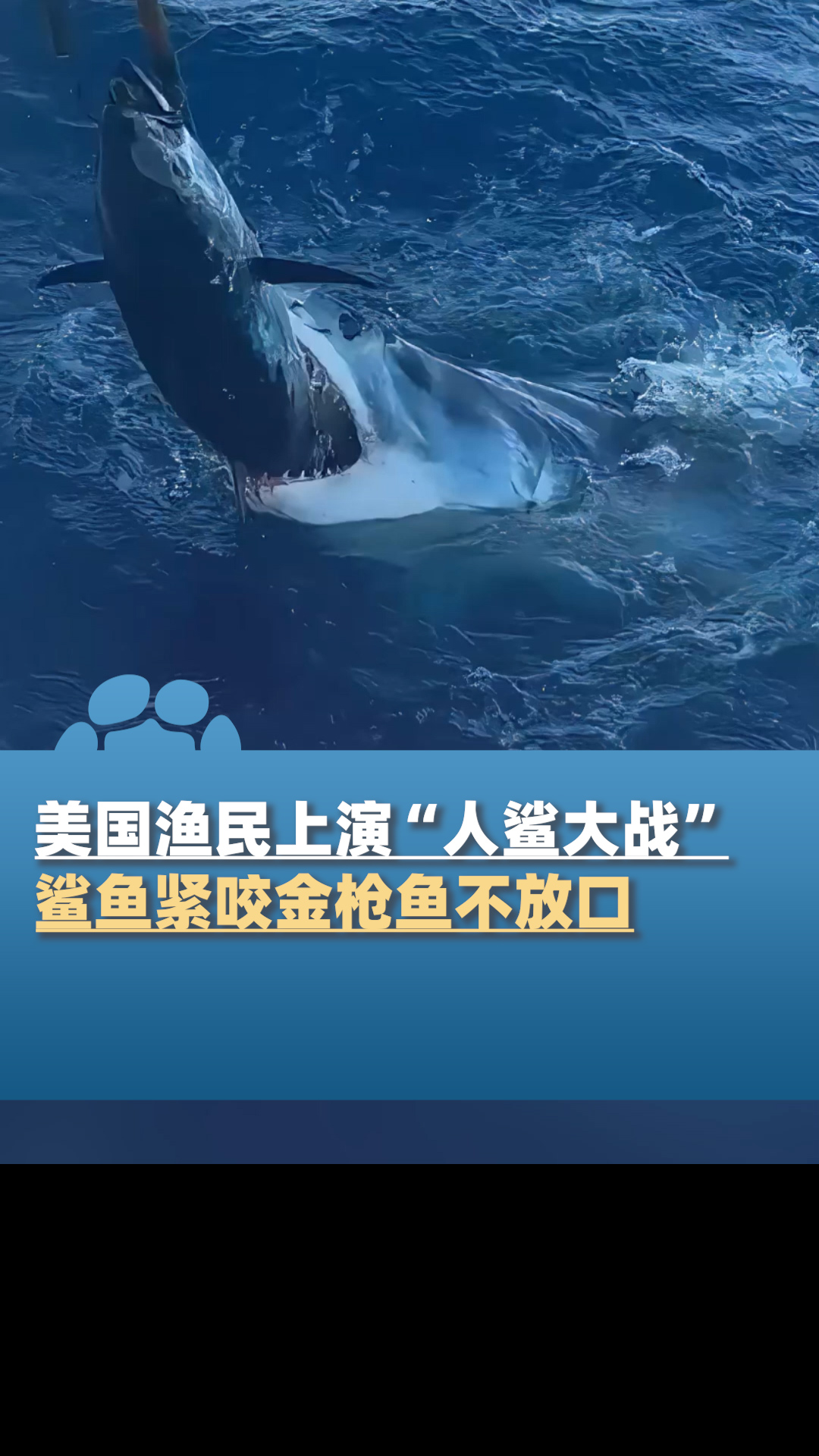 美国渔民上演“人鲨大战”,鲨鱼紧咬渔民捕获的金枪鱼不放口
