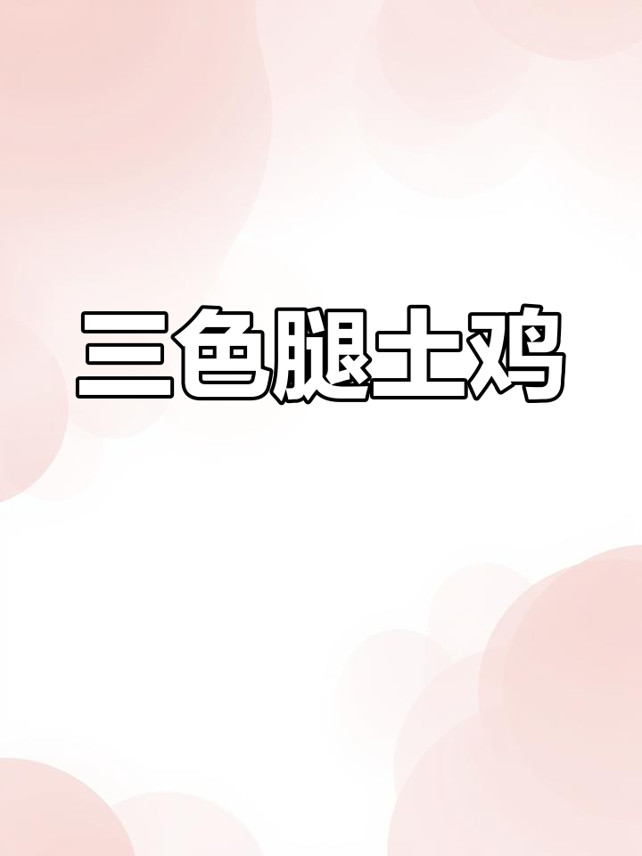 苏北三色腿高产草鸡,适应性强抗病力强