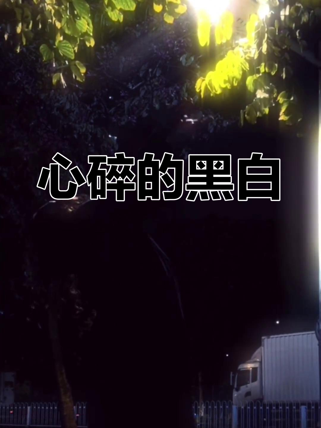 泪水无法言喻的痛,黑白头像映照心碎