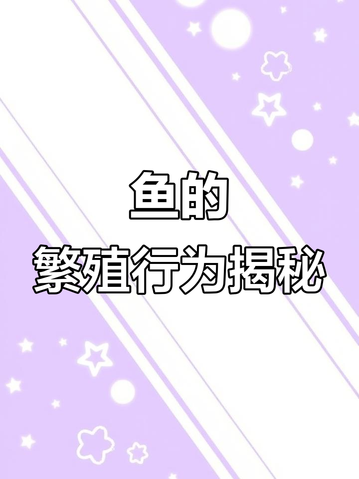 鱼怎么筑巢求偶？揭秘不同种类的繁殖方式
