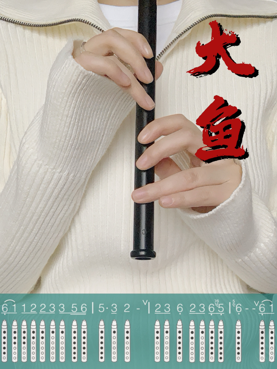 笛谱|《大鱼》来啦爱尔兰哨笛