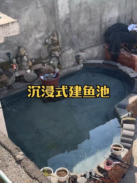 新手第一次砌十吨鱼池，歪墙加钢筋，造景种绿植，鱼却躲猫猫！