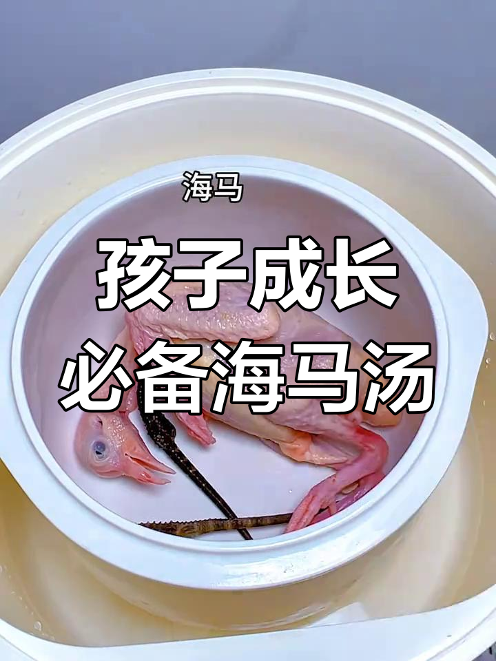 每周两次海马田七汤,助力孩子健康成长